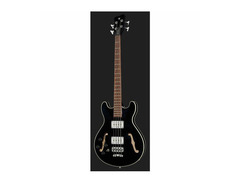 Warwick RockBass Star Bass 4-string Hollowbody image 2