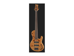 Sire USA Marcus Miller F10 Fretless 5-string Bass Guitar image 2