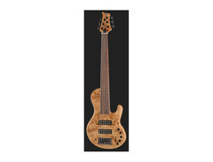 Sire USA Marcus Miller F10 Fretless 6-string Bass Guitar image 2