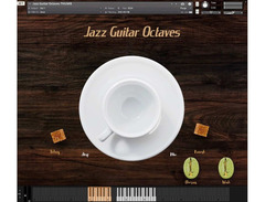 Have Audio Jazz Guitar Octaves image 2