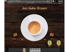 Have Audio Jazz Guitar Octaves image 3