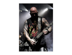 Red Monkey Classic 3" Guitar strap image 2