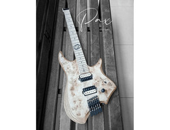 Pax Guitars Proxima Custom Series image 3