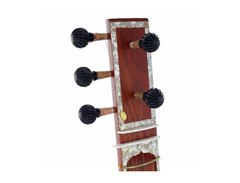 Thomann Nataraj Sitar Vilayat Khan image 4
