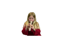 Wood Recorder image 3