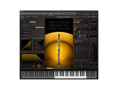 Eastwest Quantum Leap Orchestral Hollywood Series image 4