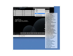 Garritan World Instruments image 2