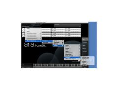 Garritan World Instruments image 3