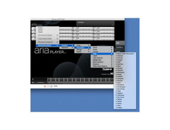 Garritan World Instruments image 4