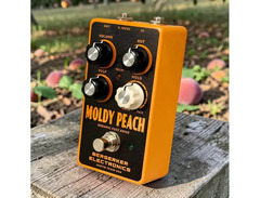 Berserker Electronics Moldy Peach image 2
