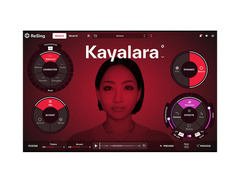 IK Multimedia ReSing Japanese Pack image 2
