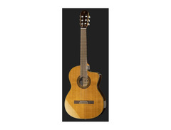 Takamine CP132SC Classical Guitar image 2