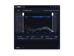 iZotope RX 12 Elements Audio Repair Software image 2