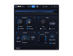 iZotope RX 12 Elements Audio Repair Software image 3