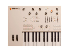 Frap Tools Magnolia image 3