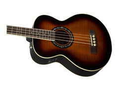 Fender T-Bucket Grand Concert Acoustic-Electric Bass image 3