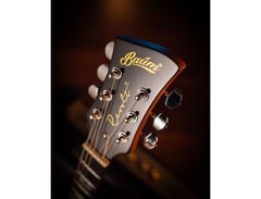 Baum Guitars Revolt image 4
