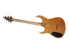 Lepsky Dominator 6 image 2
