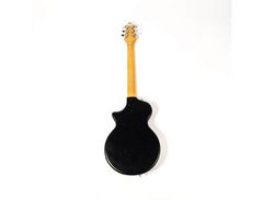 Chandler Electric Resonator image 2