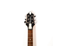 Chandler Electric Resonator image 4
