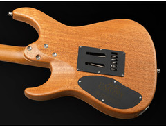 Mayones Aquila Emory 6 Alex Hutchings Signature image 4