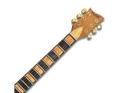Paoletti Hollywood Vampires PJ-LF-HLWDVMPR image 3