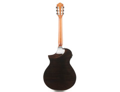 Ibanez AEWC300N image 2
