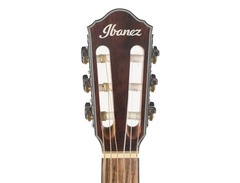 Ibanez AEWC300N image 4