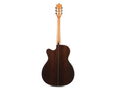 Ibanez Salvador GM510CE image 2