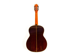 Ibanez Salvador Nylon Acoustic Guitar image 2