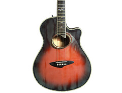 Yamaha APX-46 DST image 4