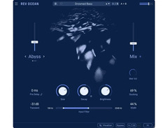 Arturia Rev Ocean image 2