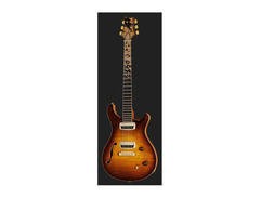 PRS Private Stock Paul's Guitar image 2