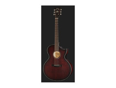 Schecter Orleans Acoustic Guitar image 2