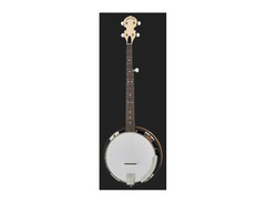 R.W. Jameson 5-string banjo Left-handed image 2