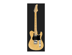 FGN Iliad JIL-Al-R J-Standard Series image 2