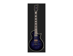 ESP Eclipse CTM RDB image 2