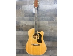 Washburn D17CE image 2