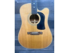 Washburn D17CE image 3