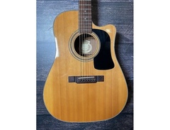 Washburn D10CE image 2