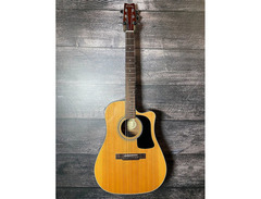Washburn D10SCE image 2