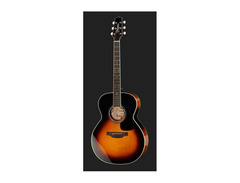 Takamine P6N image 2