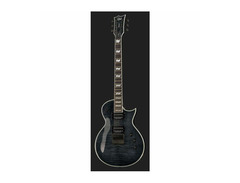 ESP Ltd EC 1000ETFM image 2