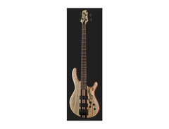 Cort Artisan A4 image 2