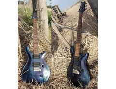 PRS Standard Multifoil image 4