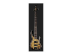 LTD B-4E image 2