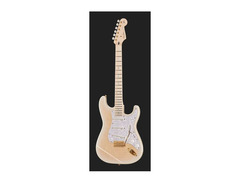 Fender Stratocaster STR-RK Richie Kotzen Signature image 2