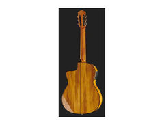 Cordoba GK Studio Gipsy Kings Signature image 3