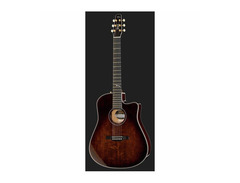 Seagull Artist Peppino Signature CW QII image 2