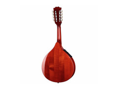 Mandolin Português image 2